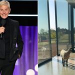 Ellen gives fans peek inside English countryside home as sheep wander in