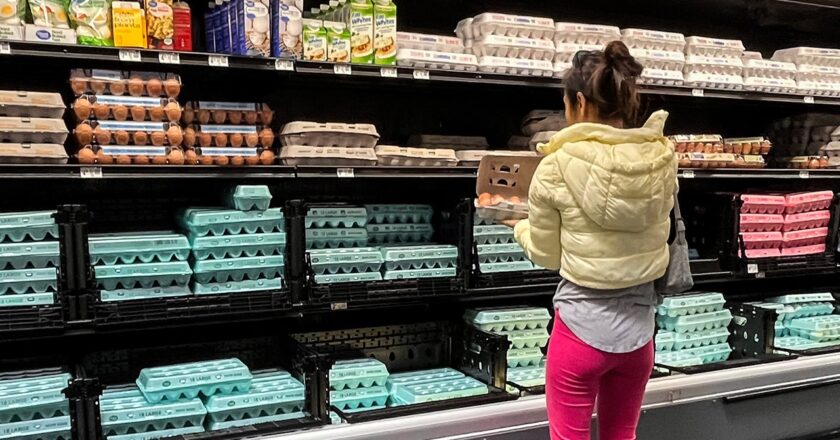 Egg prices drop 61% since January, now $2.52 per dozen after March peak