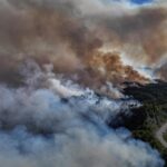 En Syrie, des incendies brûlent 10 000 hectares dans la province de Lattaquié
