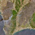 En Turquie, près d’Izmir, deux incendies hors de contrôle en raison de vents violents