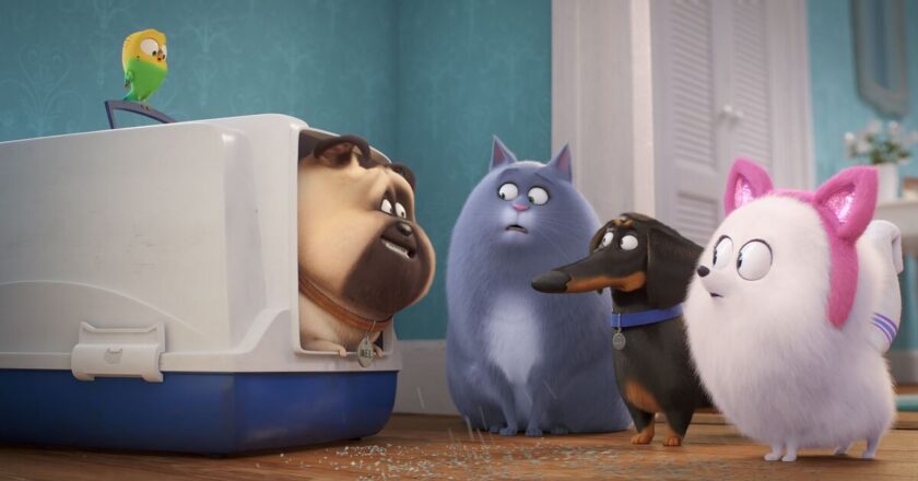 ‘Must-watch’ family film but only days to watch before BBC axe | Films | Entertainment