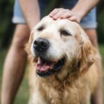 Dogs will have major ‘anxiety’ if you don’t do 1 crucial thing