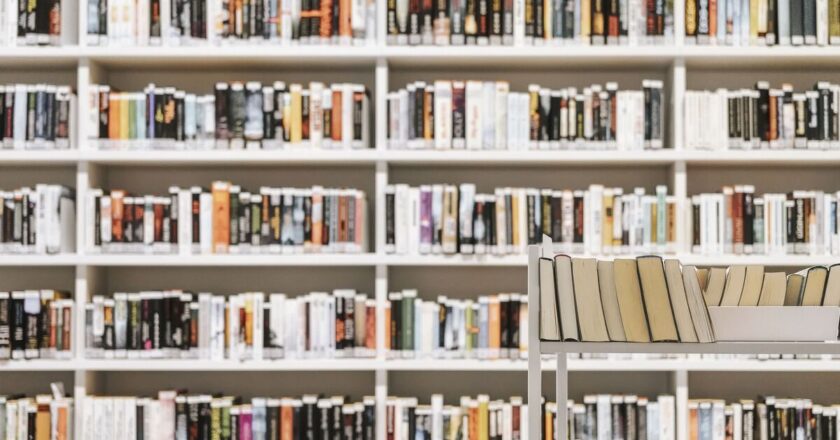‘Mesmerising’ fantasy book that readers say is ‘best of the decade’ so far | Books | Entertainment