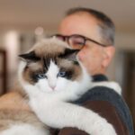 ‘I transformed feral cat into cuddly pet using nothing but love’