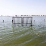 Les riverains du lac Tchad pris en étau entre Boko Haram et la montée des eaux