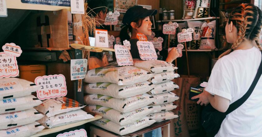 L’échec du gouvernement japonais à endiguer la hausse des prix du riz pourrait lui coûter sa majorité au Sénat