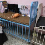 au moins 133 personnes, dont 87 enfants, sont mortes de malnutrition depuis le début de la guerre, selon le ministère de la santé de l’enclave