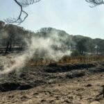 Incendie maîtrisé dans l’Hérault ; les Bouches-du-Rhône placées en vigilance rouge pour les feux de forêt