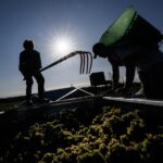 les vins et spiritueux attendent des éclaircissements sur l’accord commercial entre les Etats-Unis et l’UE