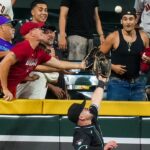 Diamondbacks ban season ticket holder for multiple fan interferences
