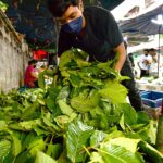What is kratom? FDA targets dangerous 7-OH products in nationwide crackdown