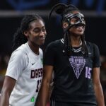 WNBA game interrupted by flying sex toy