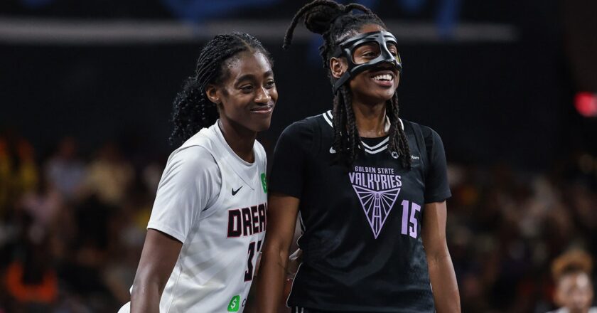WNBA game interrupted by flying sex toy