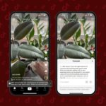 TikTok videos are about to get crowdsourced fact checks on them