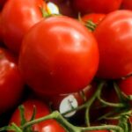 Mexican tomato tariff sparks debate between US growers and importers