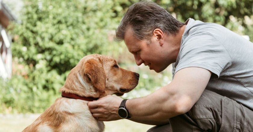 Dog owner panics when pet refuses to leave husband’s side – then realises why