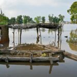 Grenier de l’Inde et du Pakistan, le Pendjab subit la mousson la plus dévastatrice depuis près de quarante ans