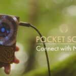 Pocket Scion is a synth you play with plants