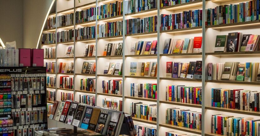 The ‘top 10 books’ of the decade – Matt Haig’s best seller at number 4 | Books | Entertainment