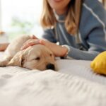 Dogs can tell you really love them due to tear-jerking signal