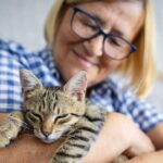 The eight subtle symptoms that show your cat’s developing dementia