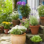 Gardeners urged to spray popular 59p kitchen staple on outdoor plants