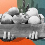 Mon jardin est-il couvert par l’assurance-habitation ?