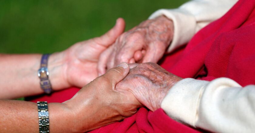 la Haute Autorité de santé refuse une approbation accélérée du médicament Leqembi