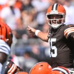 Browns-Bengals game features flying sex toy