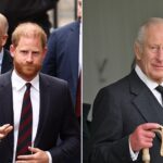 Prince Harry meets King Charles amid royal family reconciliation push