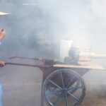 CDC warns of ‘enhanced’ chikungunya virus risk for travelers to China