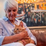 Love Lost AI helps reunite Washington woman with lost Maine Coon cat