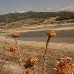 la Sicile assaillie par les fléaux climatiques