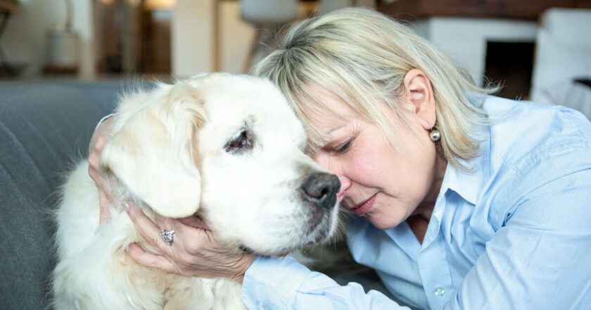 Six warning signs that your dog is feeling unhappy