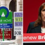 Hapless Rachel Reeves is out of her depth and crashing the property market | Personal Finance | Finance
