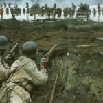 ‘Greatest’ war film of all time hailed a must-watch ‘masterpiece’ | Films | Entertainment
