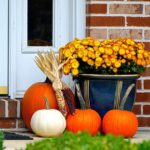 Expert’s warning over pumpkin error that could harm gardens