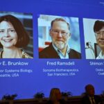 Le prix Nobel de médecine décerné aux chercheurs américains Mary E. Brunkow, Fred Ramsdell et japonais Shimon Sakaguchi pour leurs recherches sur le contrôle du système immunitaire