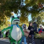 March of the frogs | The Verge