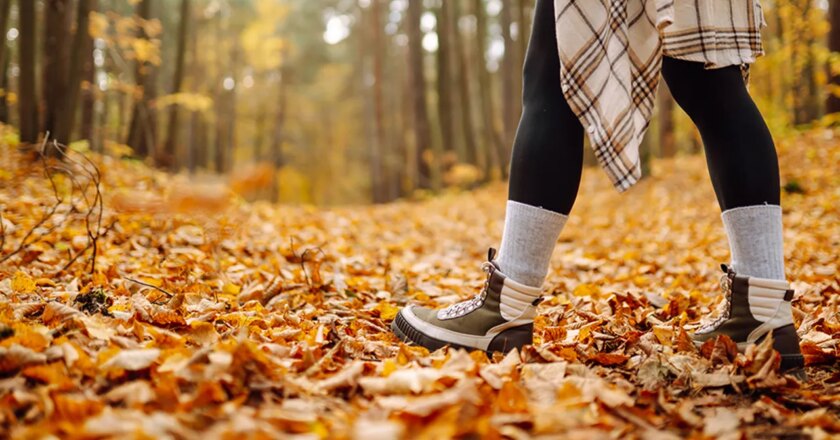 Great Lock-In trend uses fall to build healthy habits before holidays
