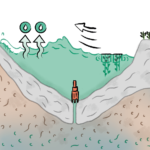 Comment préserver la réserve d’eau douce sous l’étang de Thau