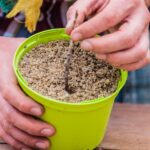 Planter à l’automne, une idée plutôt bonne