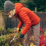 Gardeners urged to do two winter tasks – ‘you’ll thank yourself’ | Personal Finance | Finance