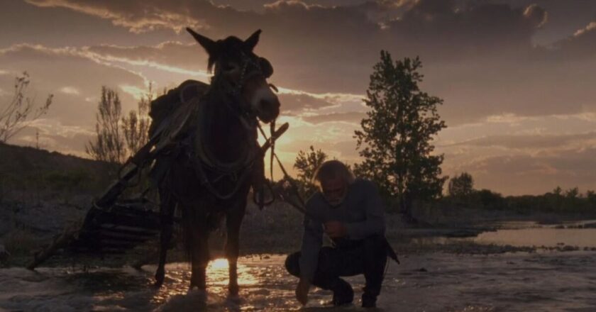 &lsquo;Masterpiece&rsquo; Western novel that&rsquo;s &lsquo;best thing ever written&rsquo; and inspired famous TV series | Books | Entertainment