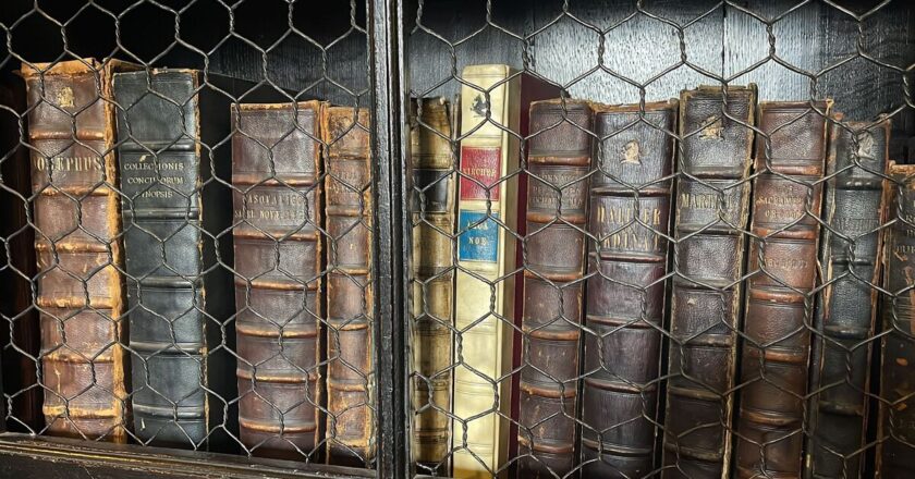 ‘Masterpiece’ period classic is ‘best book of all time’ | Books | Entertainment