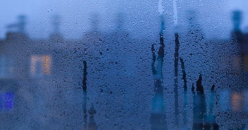 1 kitchen item creates condensation &lsquo;barrier&rsquo; on windows