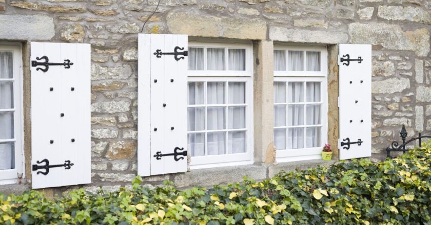 Mum stressed by ‘disgusting experience’ as home infested by pest