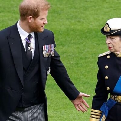 Prince Harry makes brutal swipe at Princess Anne | Royal | News