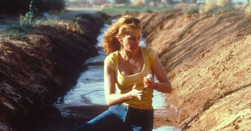 Oscar-winning true-story film with 85% on Rotten Tomatoes coming to Netflix this month | Films | Entertainment