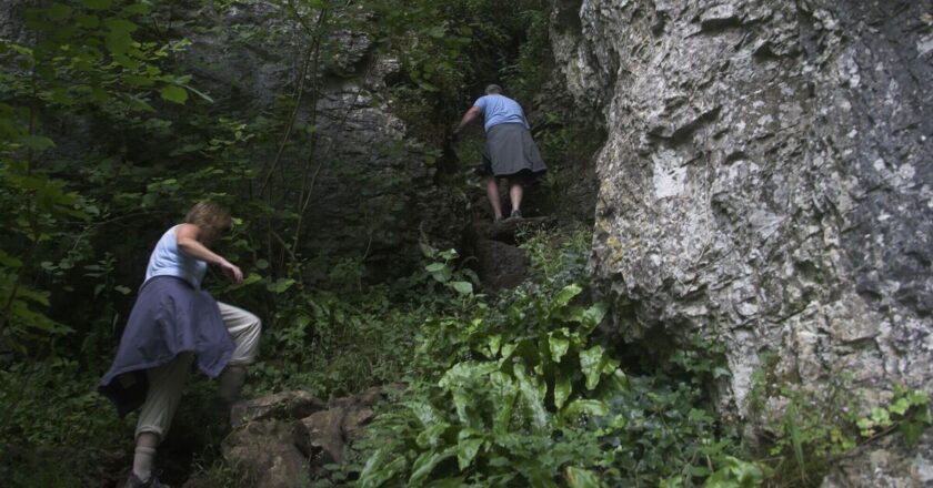 One of ‘most enchanting’ gorges in the UK is ideal for January walk | Nature | News